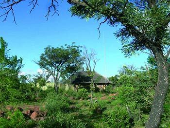 Abloom Bush Lodge & Spa Retreat Куллинан Экстерьер фото